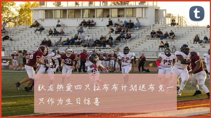 狄龙热爱四只拉布布计划送布克一只作为生日惊喜