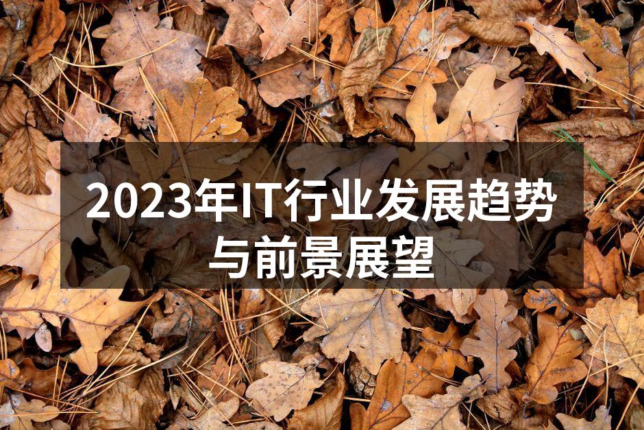 2023年IT行业发展趋势与前景展望
