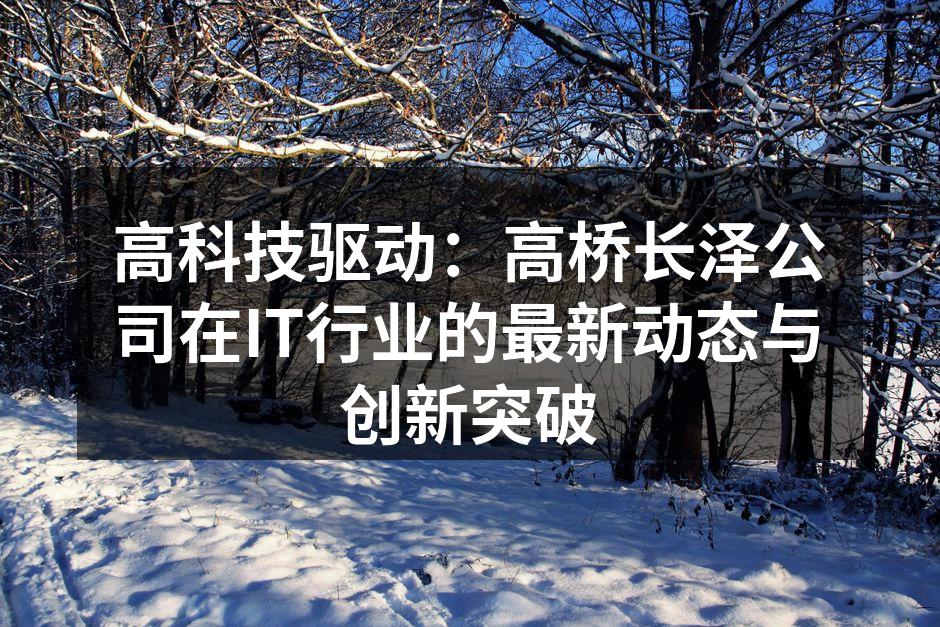 高科技驱动:高桥长泽公司在IT行业的最新
