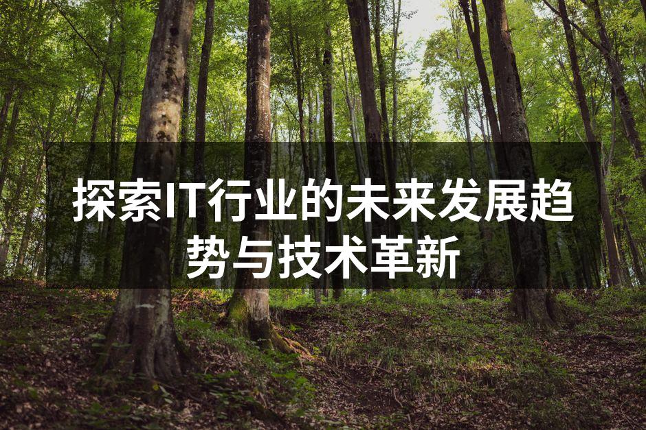 探索IT行业的未来发展趋势与技术革新